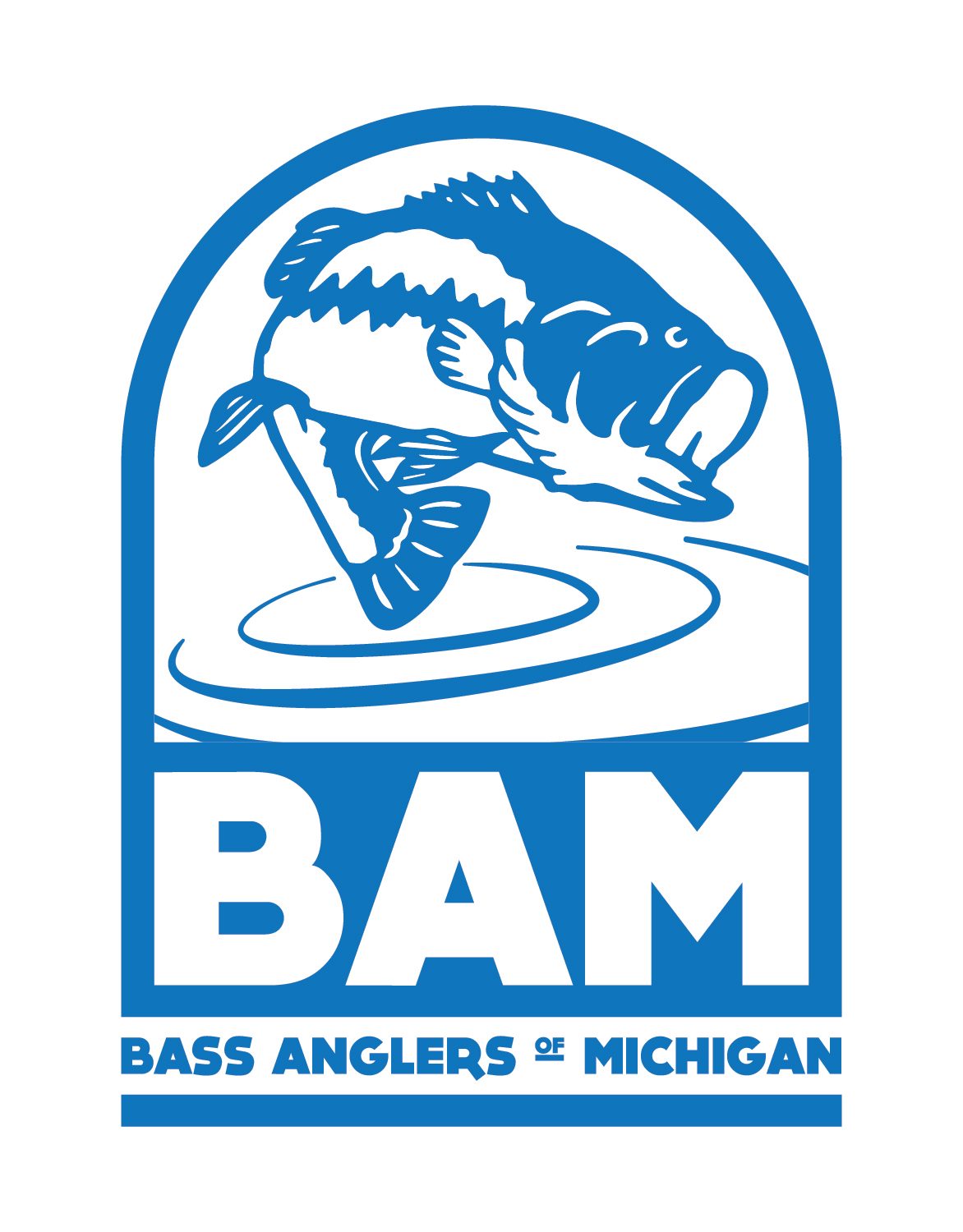 BAM 2-01